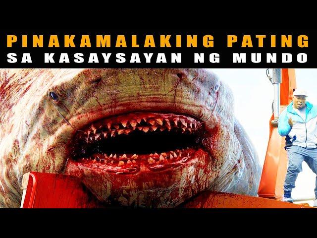 Pinakamalaking Pating sa Buong  Mundo | HIGANTENG PATING SA KASAYSAYAN | Biggest Shark in the world