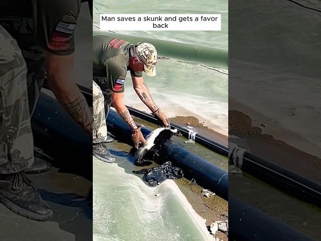 Rescue a skunk