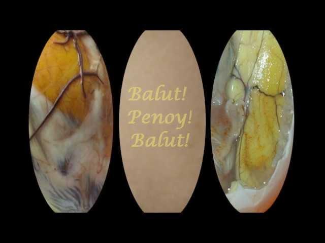 Mabuhay Singers - Balut LyricsHD