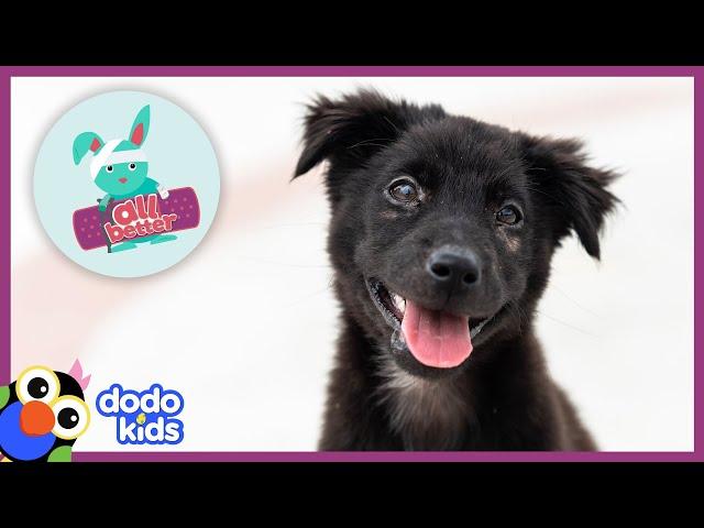 All Better — This Pup Can't Even Stand On Her Own — Rosie Needs Our Help | Dodo Kids