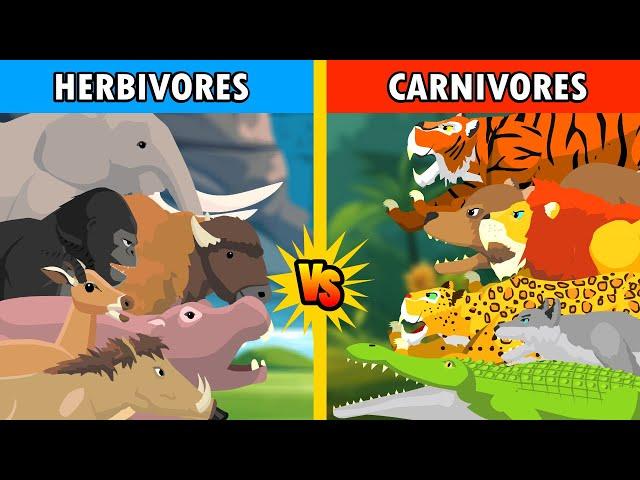 Carnivores Animal vs Herbivores Animal [S1] | Animal Animation