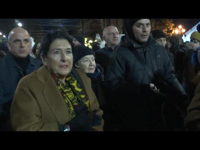 Pro-Western Zourabichvili attends Tbilisi opposition rally as new president elected