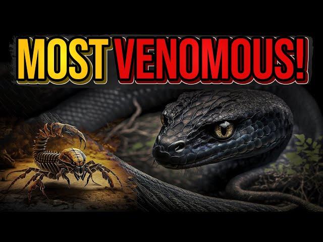 The Most Venomous Snake in the World