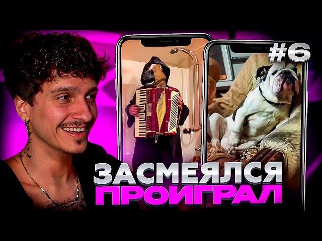 МЕЛЛШЕР ПЫТАЕТСЯ НЕ ЗАСМЕЯТЬСЯ С ТИКТОКОВ ОТ ПОДПИСЧИКОВ #6 | ЗАСМЕЯЛСЯ = ЗАПЛАТИЛ