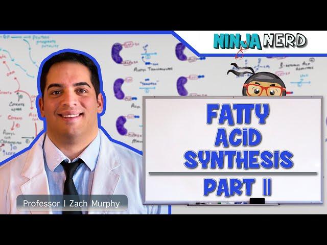 Metabolism | Fatty Acid Synthesis: Part 2 (Updated)