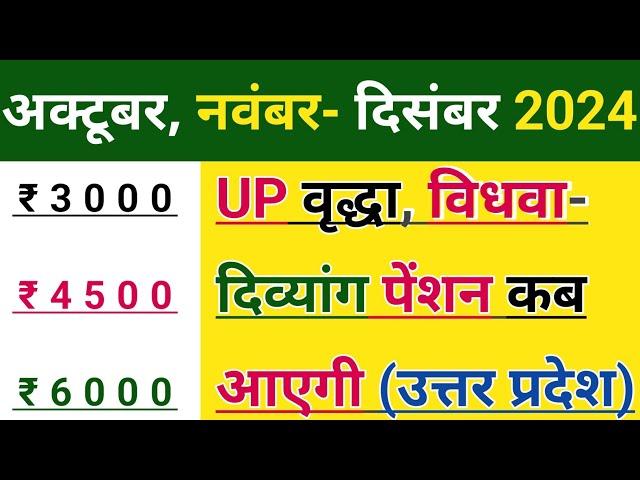 UP Pension Kab Aayegi 2024 | यूपी पेंशन कब आएगी 2024 | वृद्धा विधवा-दिव्यांग | अक्टूबर नवंबर दिसंबर