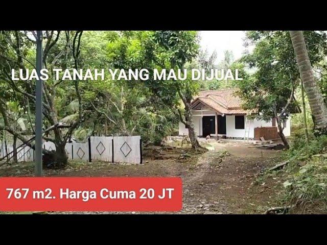 Dijual Murah Tanah Seluas 767 m2. SHM Cuma 20 JT. Cocok Buat Tanam Pohon Durian