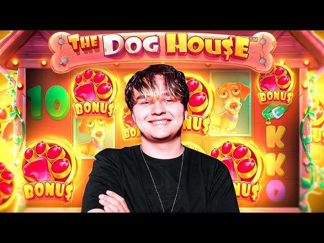 INSANE 6 SCATTERS ON DOG HOUSE MEGAWAYS!