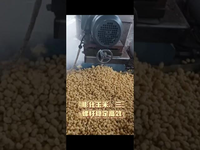 Puffed soybean and corn extruder,triple screw extruder,haiyuan steam soybean three screw extruder