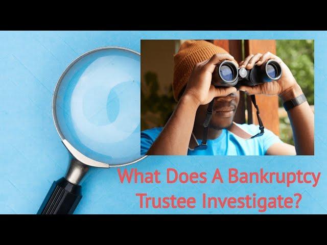 What Does The Bankruptcy Trustee Investigate?