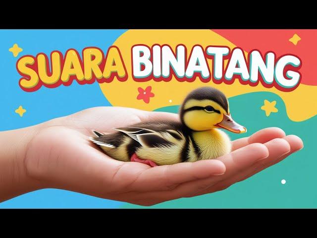 BAYI BINATANG LUCU | LAGU ANAK SUARA BINATANG | UYYUS FUN VIDEO