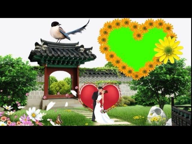 Wedding GreenScreen effects video Happy Anniversary Vedding background video effects hd GreenScreen