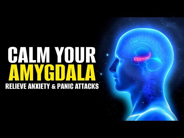 Calm Your Amygdala | Lessen Fear Response In Body | Relieve Anxiety & Panic Attacks | Calming Music