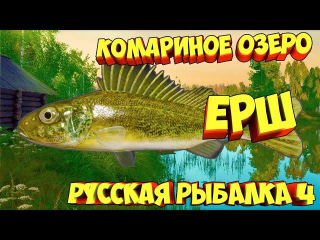 русская рыбалка 4 - Ёрш озеро Комариное - рр4 фарм Алексей Майоров russian fishing 4