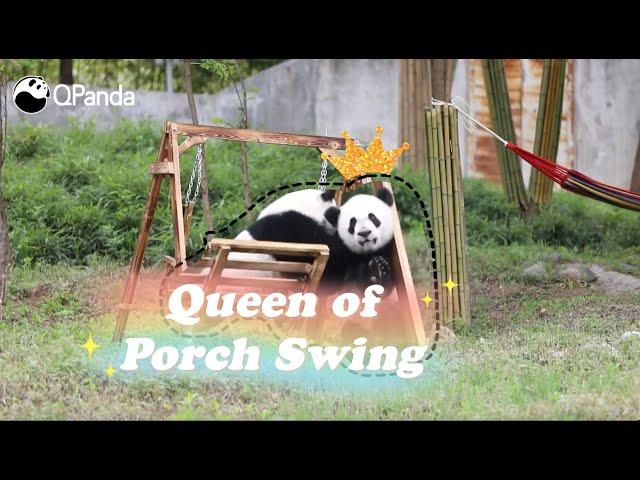 Who's the Queen of Porch Swing