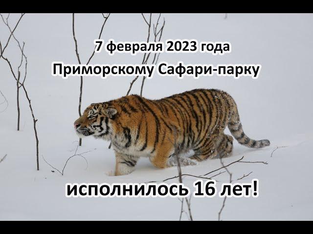 7 февраля 2023 года Приморскому Сафари парку исполнилось 16 лет!