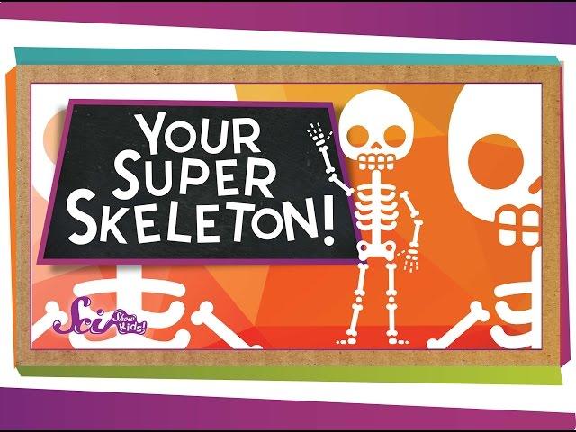 Your Super Skeleton!