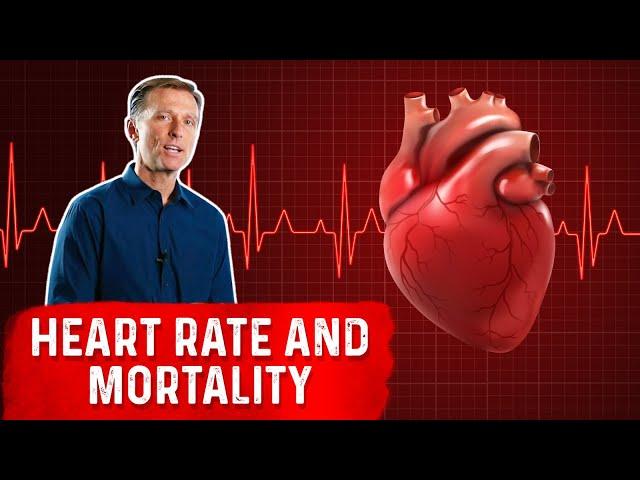 Can Your Pulse Rate Tell How Long You'll Live?