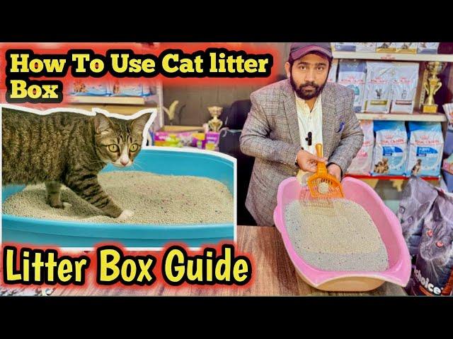 How to use Litter Box for Your Cats || litter Box Guide || Cat’s litter Box Training