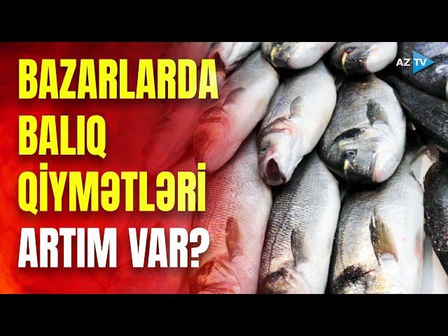 Xaricdən gətirilən və yerli balıqların qiymətləri artdı? – Bazarlardan REPORTAJ