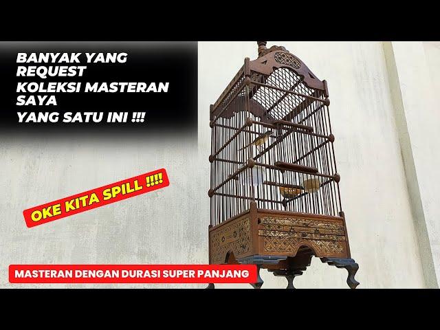 NIH SAYA SPILL SALAH SATU KOLEKSI BURUNG SUPER MEWAH YANG SAYA PUNYA 