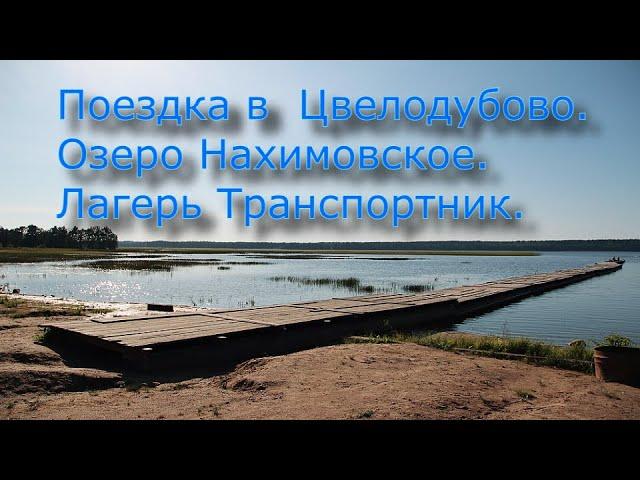 Большой выпуск! Поездка в Цвелодубово в (ЛО). Заброшенный лагерь "Транспортник". Озеро Нахимовское.