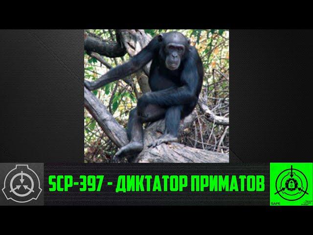 SCP-397 - Диктатор приматов   【СТАРАЯ ОЗВУЧКА】