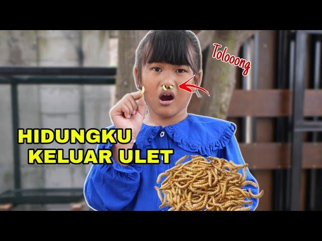 GELI HIDUNG CHIKA KELUAR ULET | CHIKAKU CHANNEL