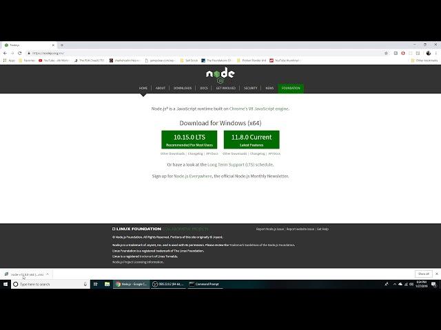 How to Install NodeJS/NPM on Windows 10 - 2019
