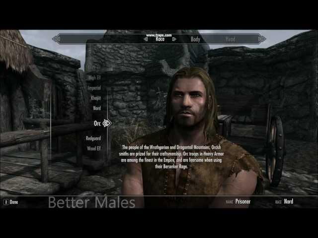 Skyrim Mod: UNP and Better Males