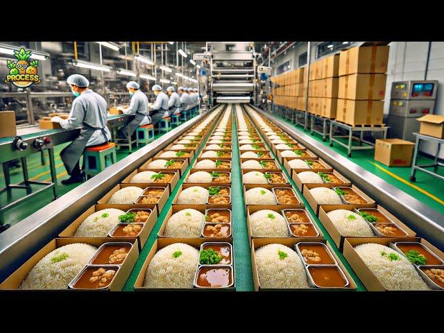 How Millions of Ready Meals Are Made in a Factory | Ready Meals Factory Process