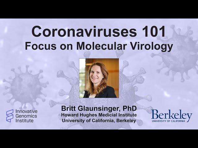 Coronaviruses 101: Focus on Molecular Virology