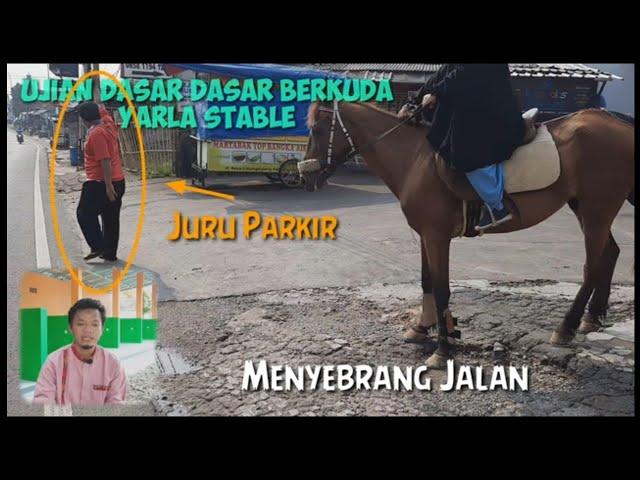 TONTONAN WAJIB !! UNTUK PERSIAPAN UJIAN BERKUDA || Sekolah Berkuda Yarla Stable Bogor