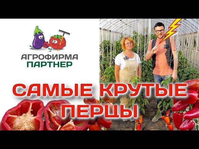 Самые крутые перцы | #огород #семена #перцы