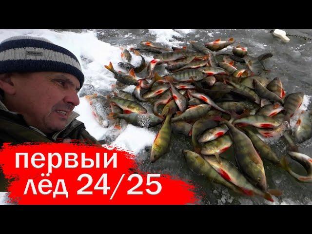 Первый лёд 2024-25. Зимняя рыбалка. Рыбалка на окуня.