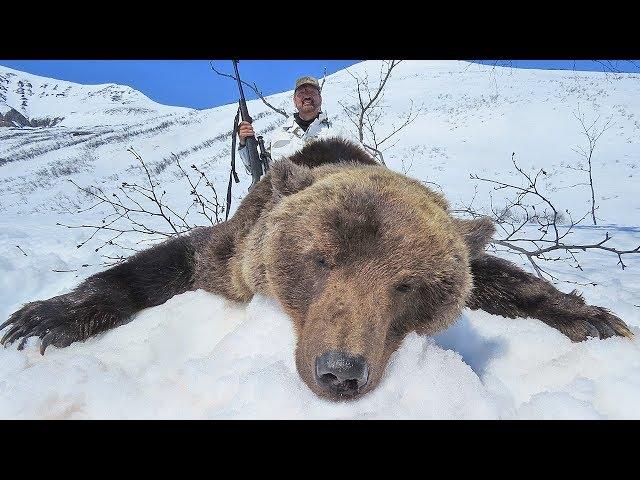 KAMCHATKA BROWN BEAR HUNTING WITH PROFIHUNT 2019