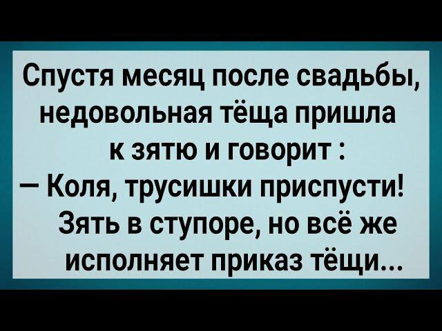 Как Наглая Теща Зятя Раздела! Сборник Свежих Анекдотов! Юмор!