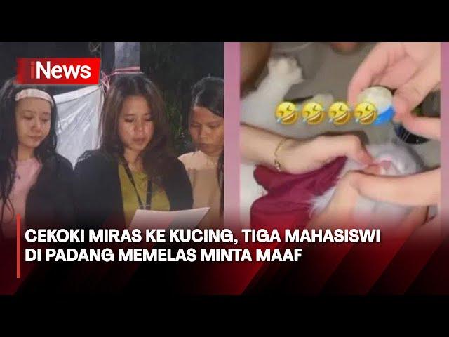 Tiga Mahasiswi di Padang Memelas Minta Maaf usai Cekoki Miras ke Kucing