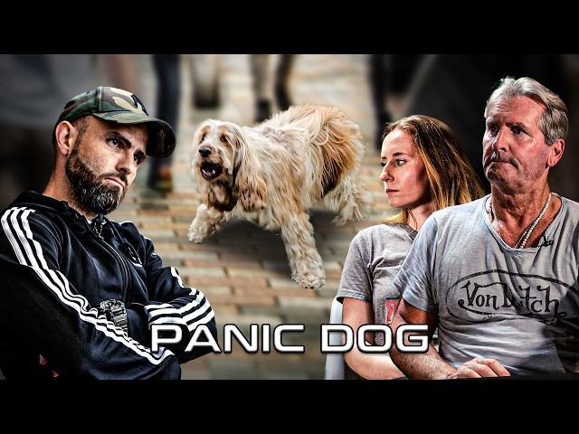 "Elle a tellement peur qu'elle vit dans mon placard !" - Cocker Peureux - Panic Dog Ep18