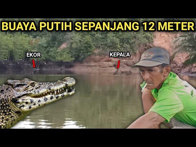 MUNCULNYA BUAYA BESAR SAAT KAMI MENJALA UDANG