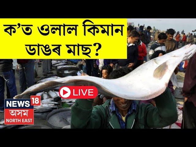 LIVE | Morning News | আজি উৰুকা। মাছৰ বজাৰত প্ৰকাণ্ড প্ৰকাণ্ড মাছ। ক'ত ওলাইছে কিমান ডাঙৰ মাছ ।