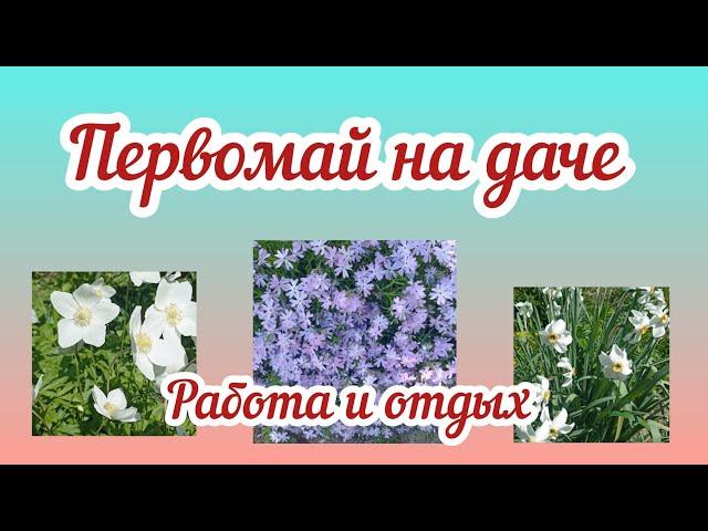 Первомай на даче,работа, отдых,что высадили,что растёт.