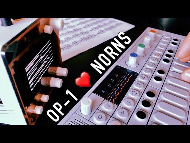 Koltrast // Electronic bird jam // Teenage Engineering OP-1 // Monome Norns