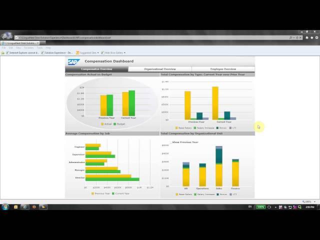 Linguify.S converts SAP-Compensetion Dashboard from English to Chinese