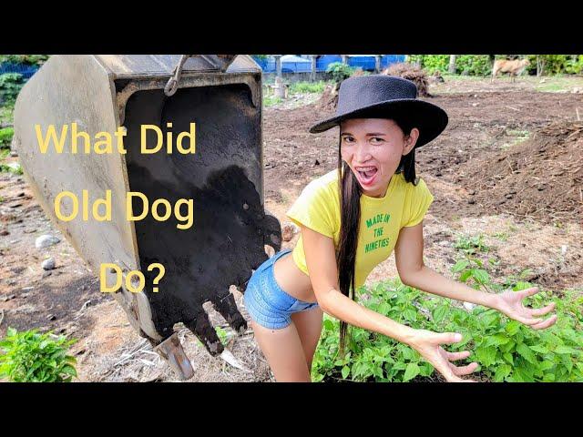 BUILDING A HOUSE IN THE PHILIPPINES/WHAT DID PAUL OLD DOG DO?