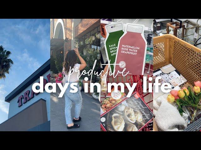 PRODUCTIVE 6AM DAYS VLOG | trader joes haul | home decor shopping | aesthetic