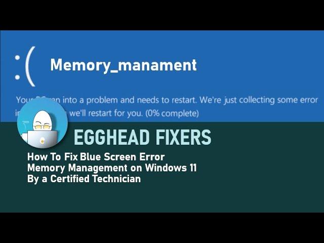 How To Fix Blue Screen Error Memory Management on Windows 11 by a Certified Technician