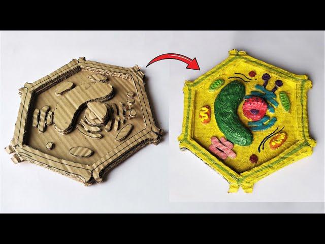 Cardboard Plant Cell Model | DIY Project