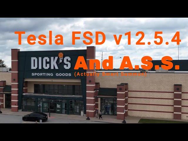 Tesla FSD v12.5.4 and Actually Smart Summon