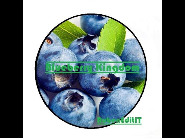 Music: Blueberry Kingdom by: RubenEditIT (no copyright)